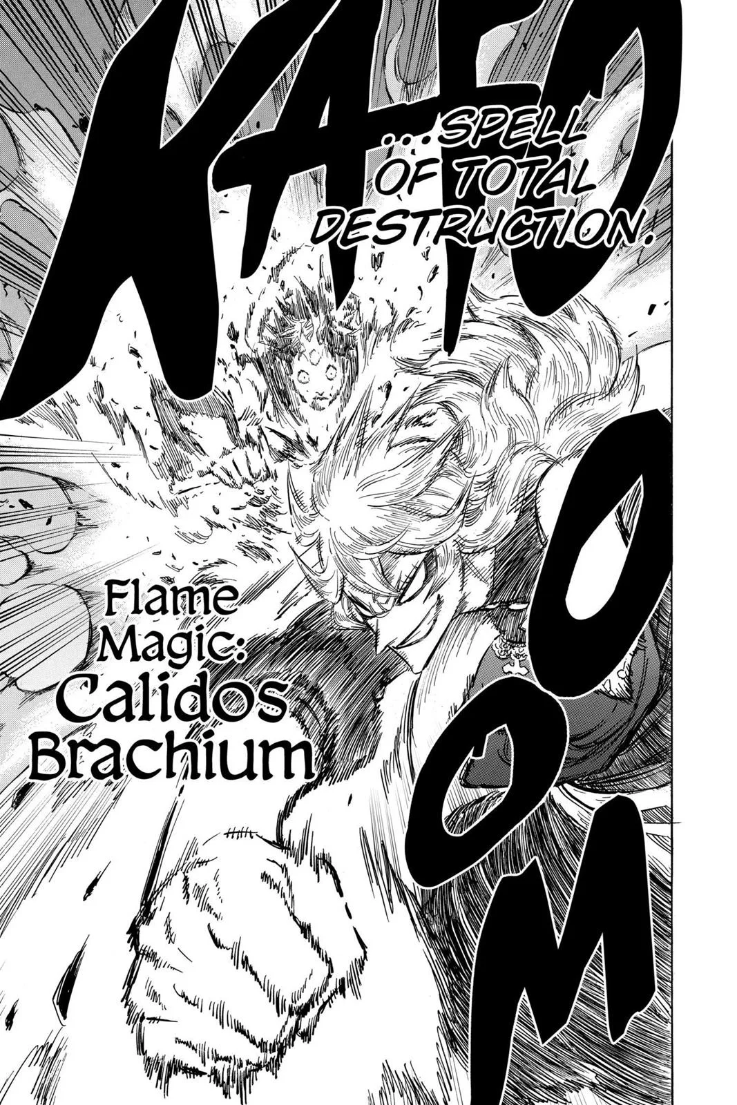 Black Clover Chapter 136 Page 17
