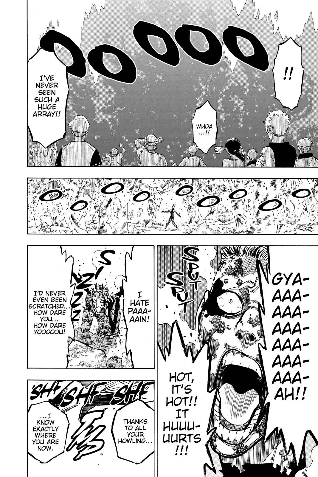 Black Clover Chapter 249 Page 13