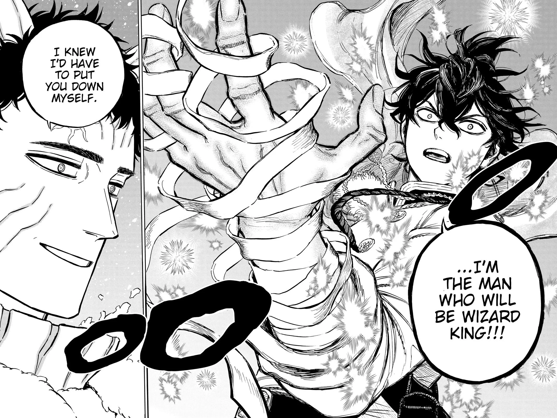 Black Clover Chapter 355 Page 13