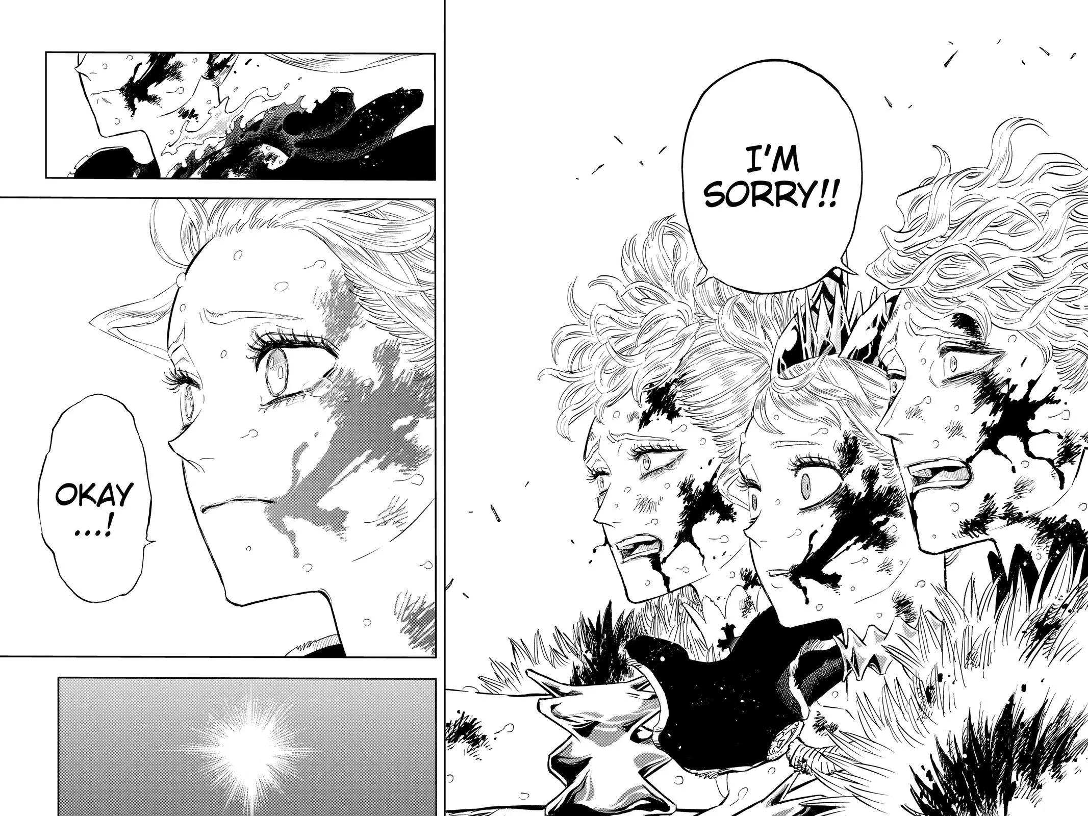 Black Clover Chapter 373 Page 14