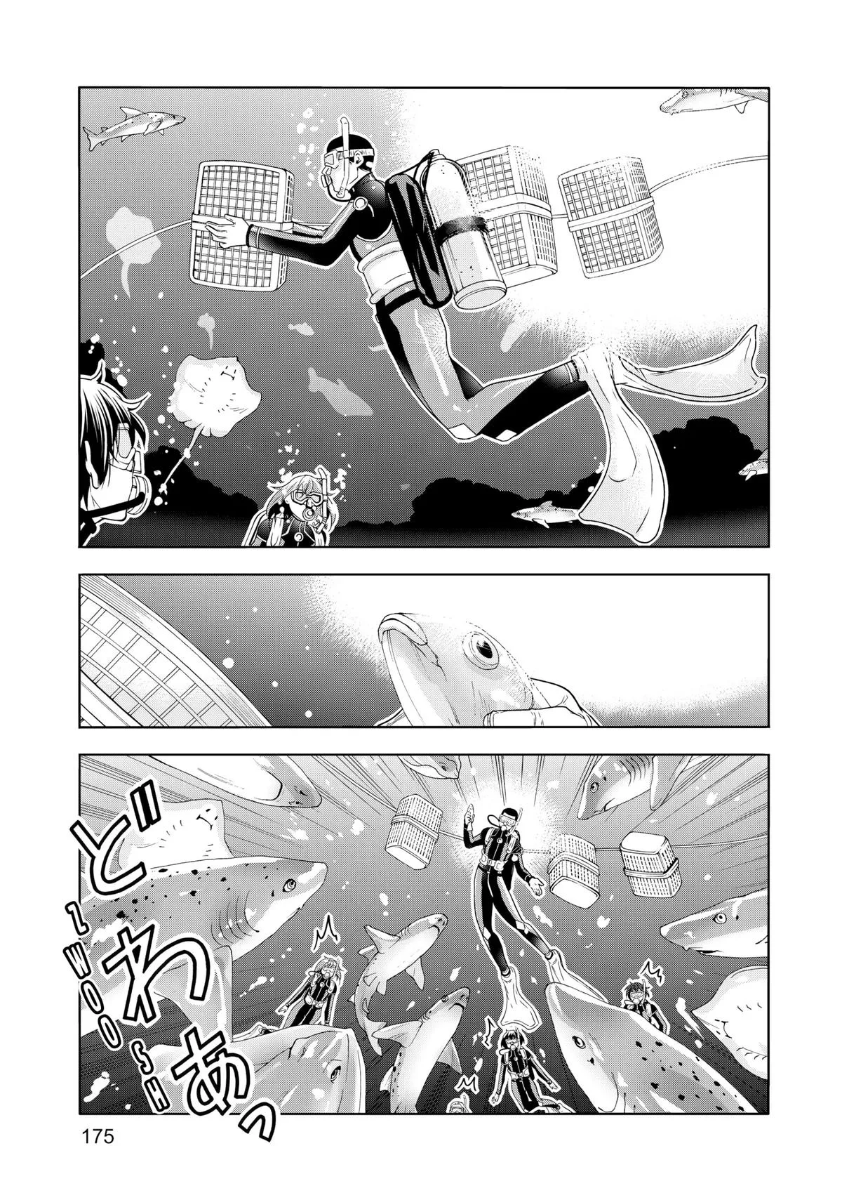 Grand Blue Dreaming Chapter 81 Page 46